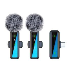 Professional Dual Mics with Receiver
